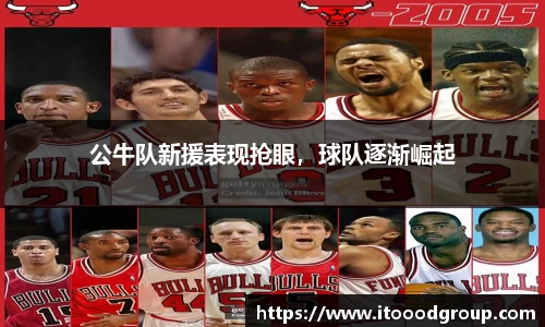 公牛队新援表现抢眼，球队逐渐崛起